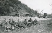 p6.jpg