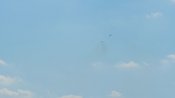 17917666_774149_o.jpg