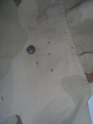 SAM_0153.jpg