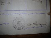 DSCN5635.JPG