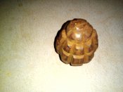 Lenovo_A1000_IMG_20170417_214312.jpg