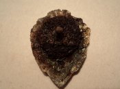 DSC00226.jpg