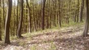 IMG_20170417_113207.jpg