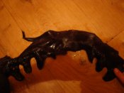 DSC08370.jpg