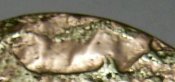 PIC_0007.JPG