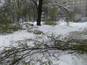 20170419_110758.jpg