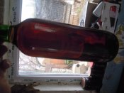 DSCN9937.JPG