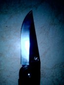 Lenovo_A1000_IMG_20170421_220618.jpg