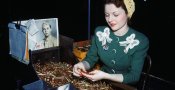 woman_inspecting_bullets-P.jpeg