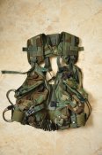 ETLBV (Enhanced Tactical Load Bearing Vest) - разгрузочный жилет армии США