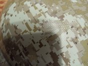 P70423-145517.jpg