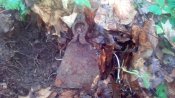 IMG_20170423_132735.jpg