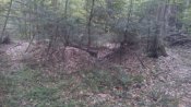 IMG_20170423_141629.jpg