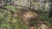 IMG_20170423_144143.jpg