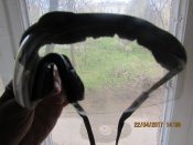 IMG_9693.JPG