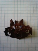 IMG_20170422_143441.jpg