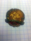 Юний натураліст