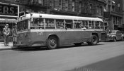 OMNIBUS.jpg