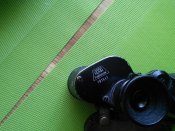 IMG_20170411_143040.jpg