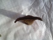 IMG_20170424_160917.jpg