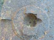 IMG_20170425_092640.jpg