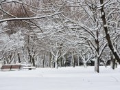 DSCN4980.JPG
