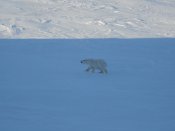 DSC01144.JPG