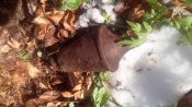 IMG_20170425_100848.jpg