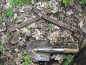 Изображение 095.jpg