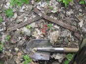 Изображение 095.jpg