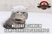 image8H0GCWTW.jpg