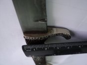 DSC02135.JPG