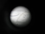 l2.jpg