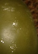 DSC09045.JPG