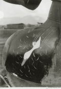 6_Spiritoso distintivo di un gruppo di Picchiatelli nella primavera 1941.jpg