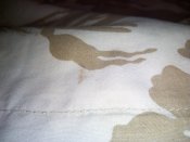 IMG_20170430_165709.jpg