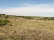 IMG_0180.JPG