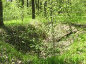 IMG_0188.JPG