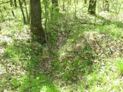 IMG_0198.JPG