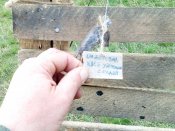 IMG_20170409_084113.jpg