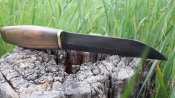 20170430_191628.jpg
