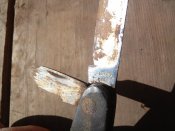 IMG_20170501_091351.jpg