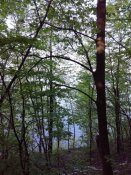 IMG_20170429_180333.jpg