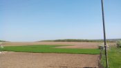 IMG_20170430_124757.jpg