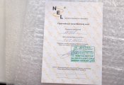 Nel Attack-8.jpg