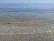 IMG_20170501_135734.jpg