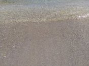 IMG_20170501_135726.jpg