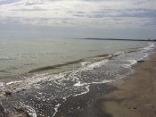 IMG_4569.JPG
