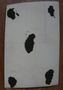 DSC07833.JPG