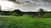 IMG_20170430_070542-01.jpeg